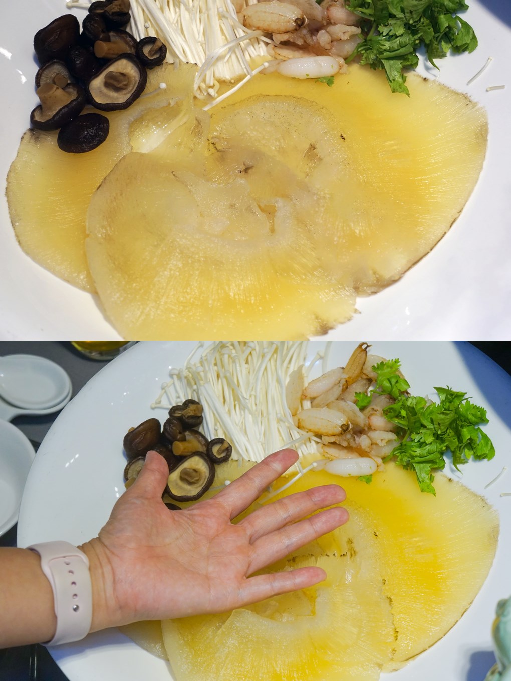 全國麗園大飯店-魚翅
