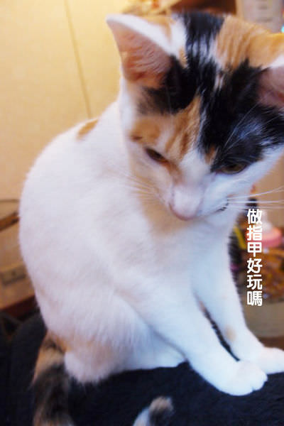 PC119218.JPG