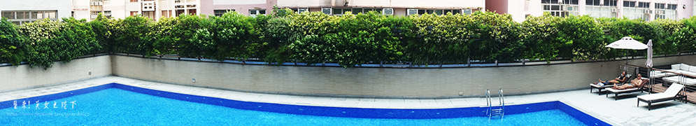 DSC02446.JPG