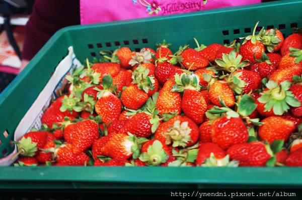 DSC00587.JPG