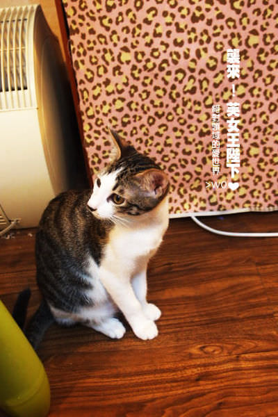 PC119183.JPG