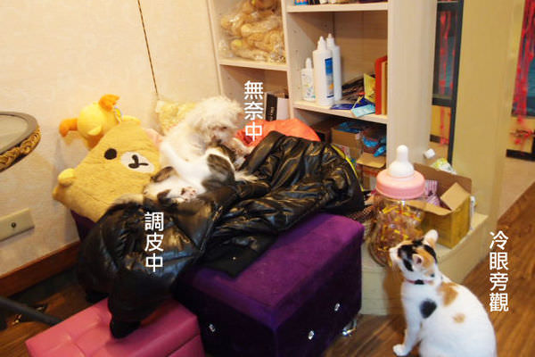 PC119202.JPG