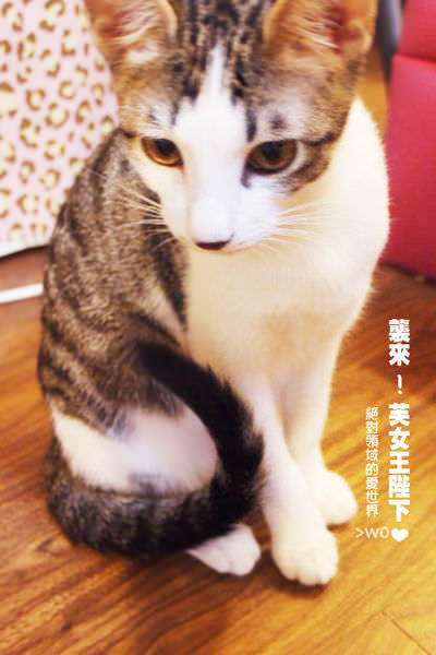 PC119187.JPG