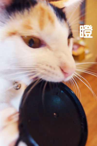 PC119220.JPG