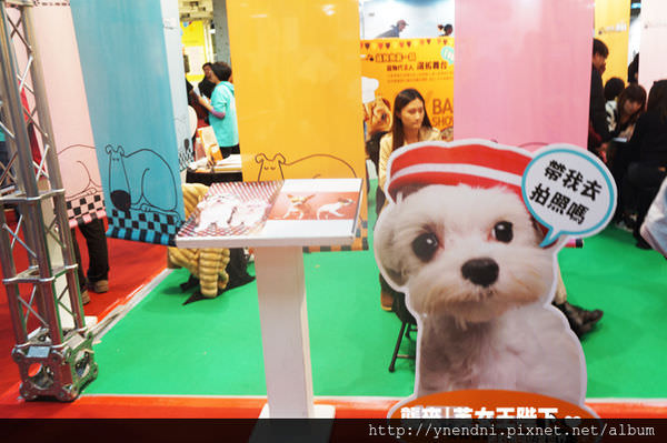 DSC01354.jpg