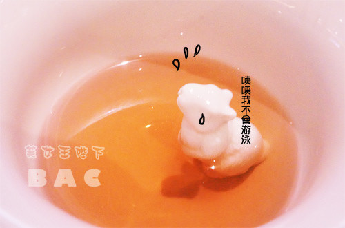 DSC04268.jpg