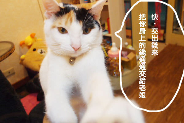 PC119223.JPG