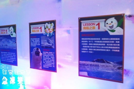 P7291300.jpg