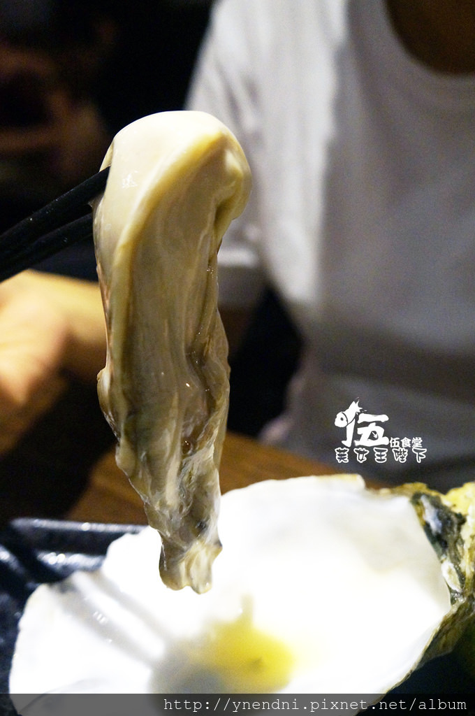 DSC00236.jpg